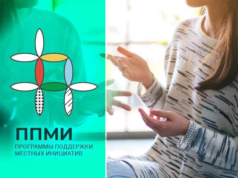 Рябиновая аллея украсит зону отдыха в селе Шушь.